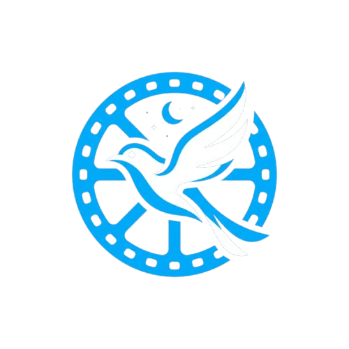 نایت مووی
