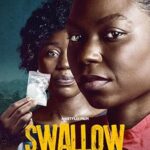 پس زمینه Swallow