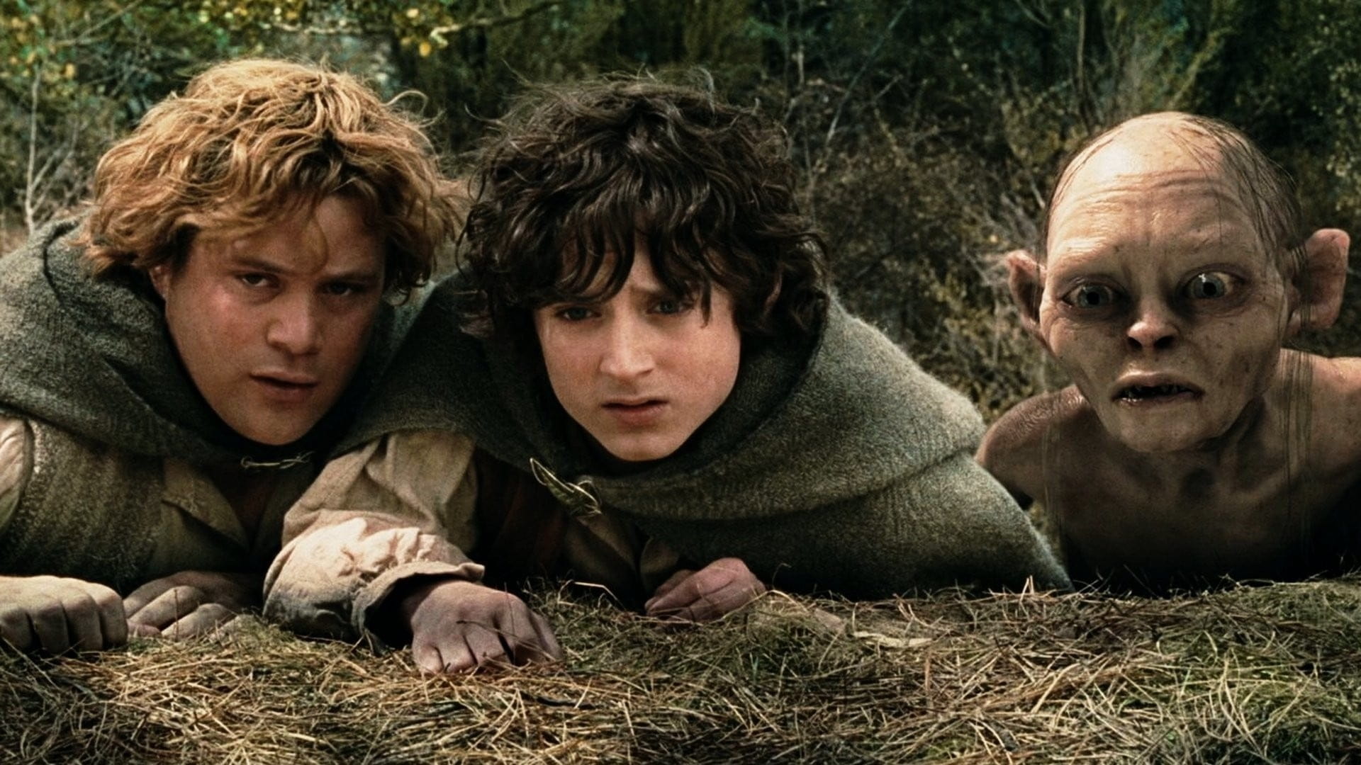 پس زمینه The Lord of the Rings: The Two Towers