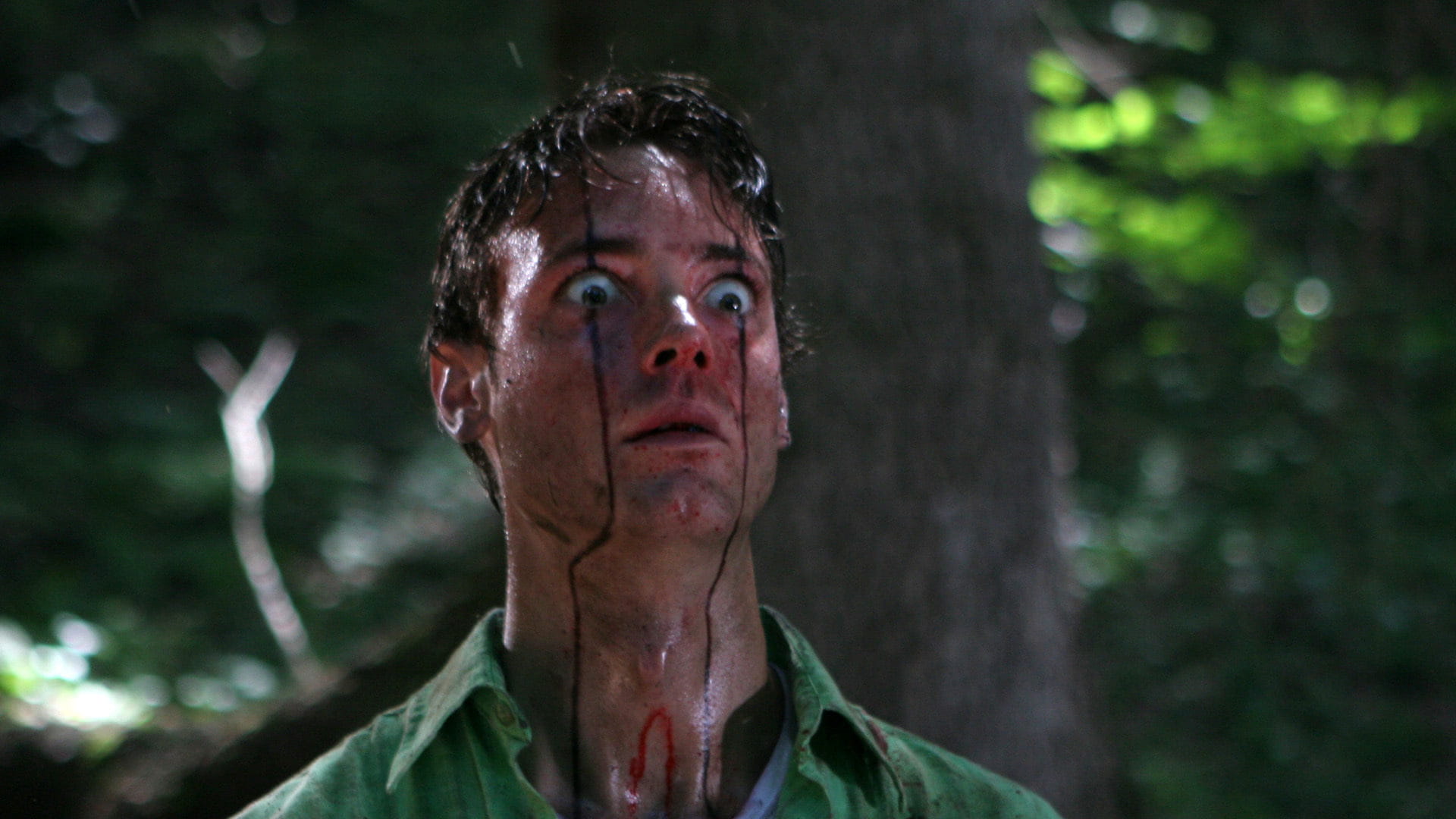 پس زمینه Wrong Turn 3: Left for Dead