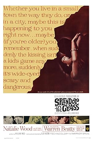 دانلود فیلم Splendor in the Grass 1961 شکوه علفزار