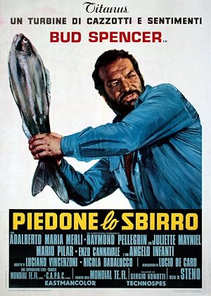 دانلود فیلم The Knock Out Cop 1973 پلیس ناک اوت