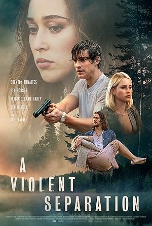 دانلود فیلم A Violent Separation 2019 جدایی خشونت آمیز