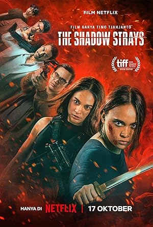 دانلود فیلم The Shadow Strays 2024 سایه های گمشده